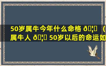 50岁属牛今年什么命格 🦈 （属牛人 🦄 50岁以后的命运如何）